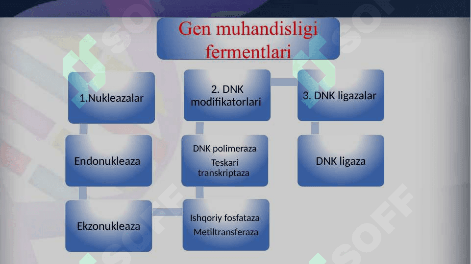 GEN MUHANDISLIGI FERMENTLARI 3