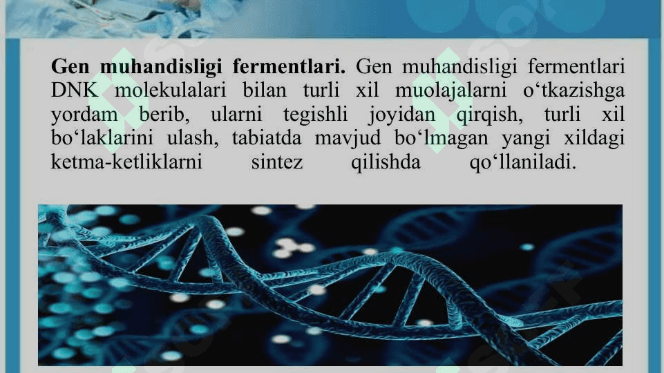 GEN MUHANDISLIGI FERMENTLARI 4