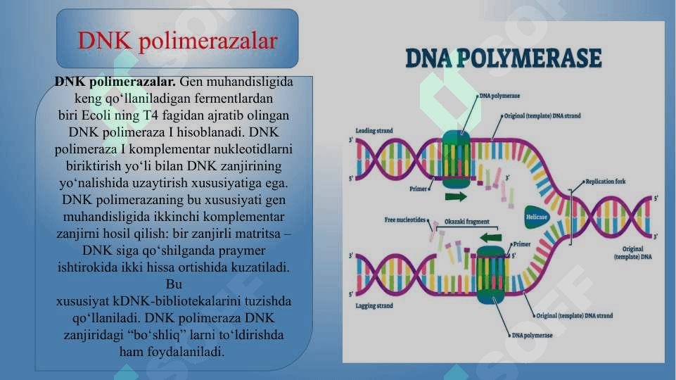 GEN MUHANDISLIGI FERMENTLARI 5
