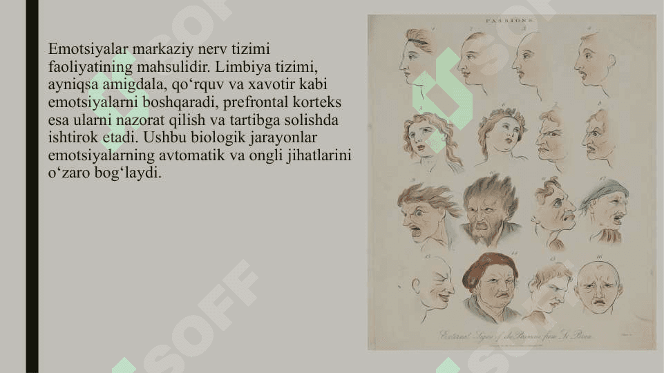 UEYNBAUMNING EMOTSIYA NAZARIYASI 4
