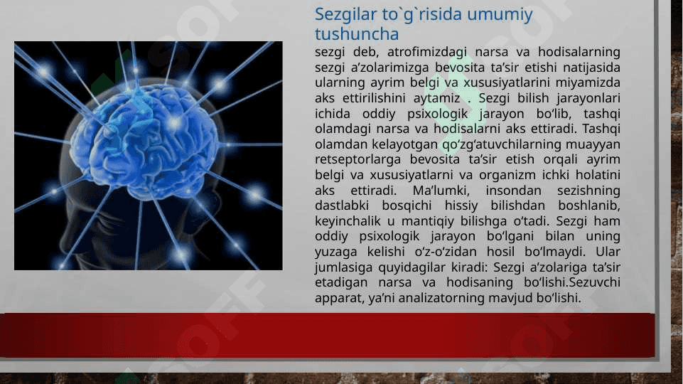 Sezgi psixologiyasi 3