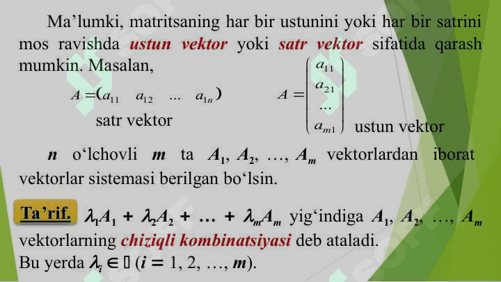 VEKTORLAR SISTEMASI VA UNING RANGI 2