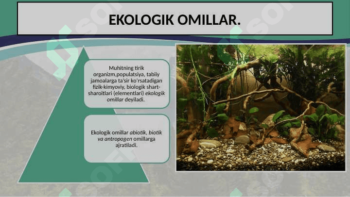 EKOLOGIK OMILLAR 3