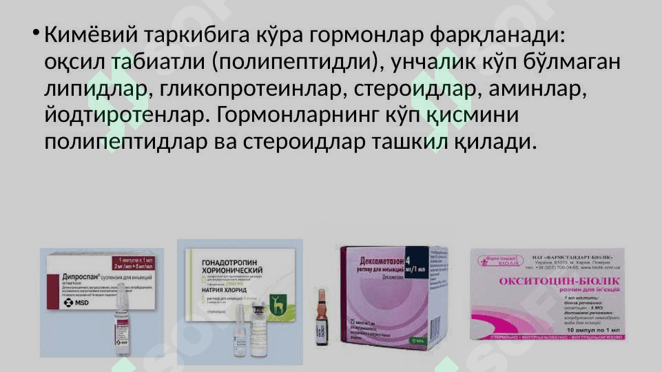 ЭНДОКРИН ТИЗИМИ 6