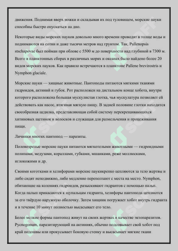 Класс Морские пауки (Pycnogonida) 3
