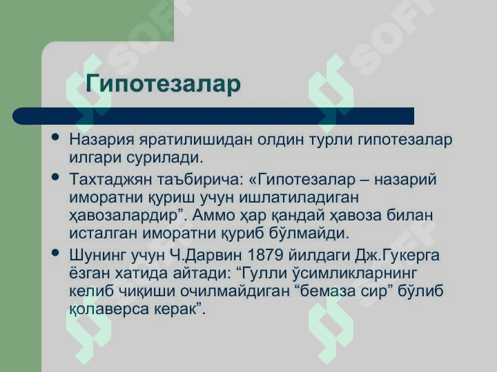 Ёпиқ уруғлилар –  Angiospermae Магнолиятоифа – Magnoliophyta Гулли ўсимликлар – Anthophyta бўлими 3