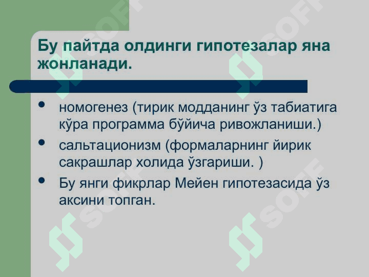 Ёпиқ уруғлилар –  Angiospermae Магнолиятоифа – Magnoliophyta Гулли ўсимликлар – Anthophyta бўлими 7