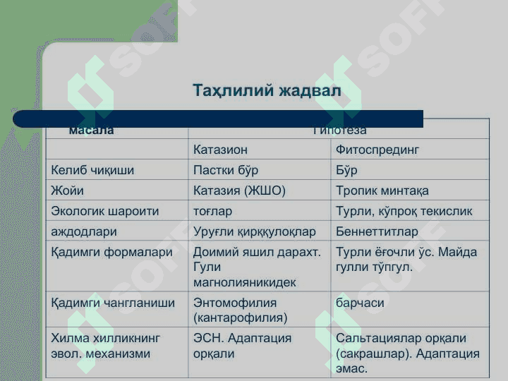 Ёпиқ уруғлилар –  Angiospermae Магнолиятоифа – Magnoliophyta Гулли ўсимликлар – Anthophyta бўлими 8