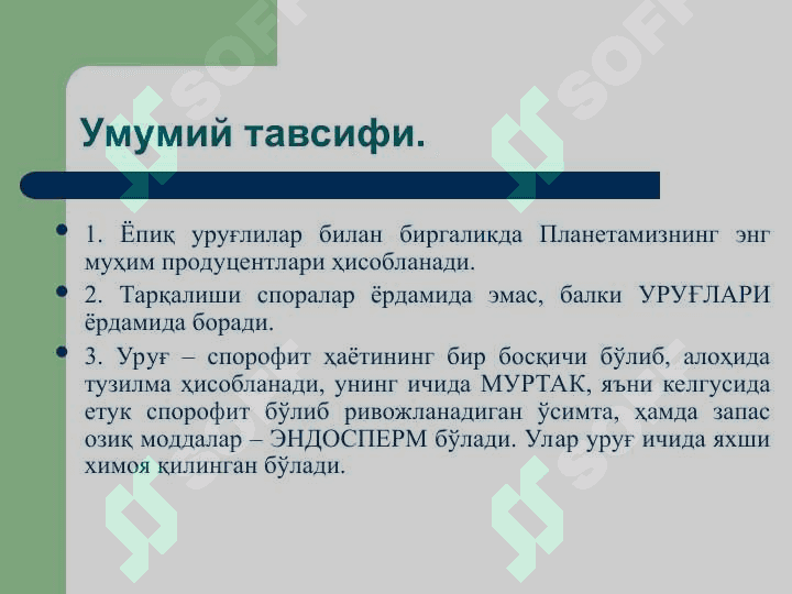 Қарағайтоифа (Pinophyta), ёки  Очиқ уруғли (Gymnospermae) ўсимликлар бўлими 4