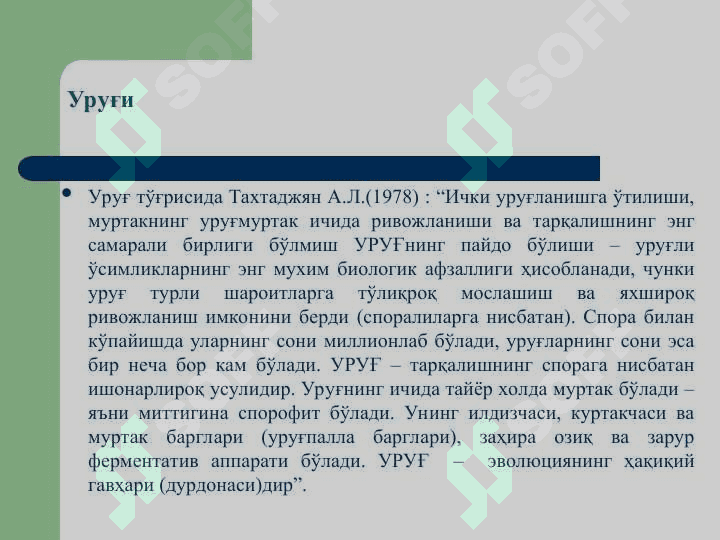 Қарағайтоифа (Pinophyta), ёки  Очиқ уруғли (Gymnospermae) ўсимликлар бўлими 5