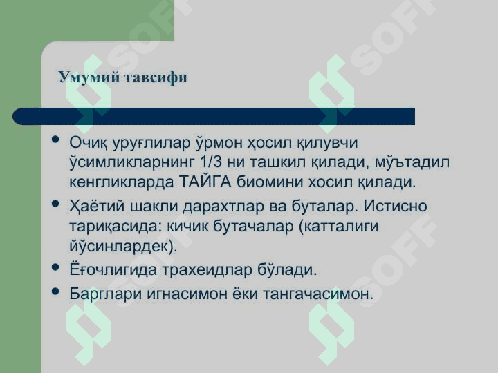 Қарағайтоифа (Pinophyta), ёки  Очиқ уруғли (Gymnospermae) ўсимликлар бўлими 7