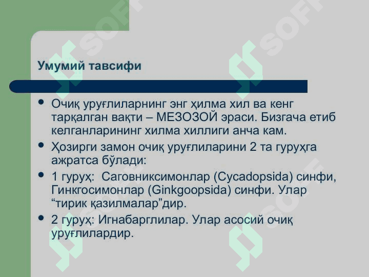Қарағайтоифа (Pinophyta), ёки  Очиқ уруғли (Gymnospermae) ўсимликлар бўлими 8