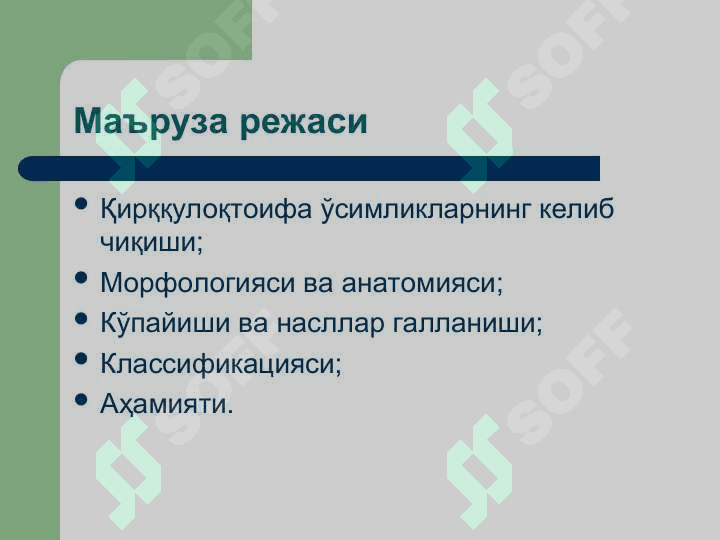 Қирққулоқтоифа ўсимликлар (Polypodiophyta) бўлими 2