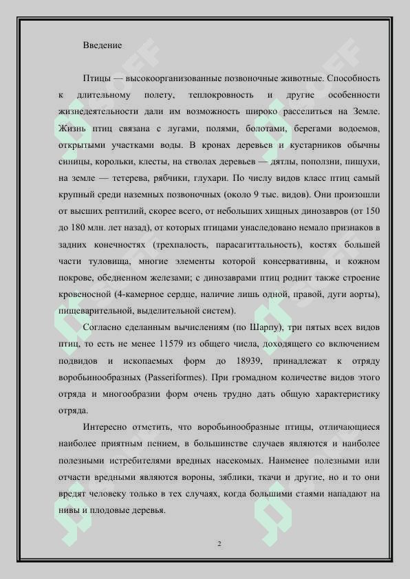 Отряд воробьинообразные: общая характеристика 2