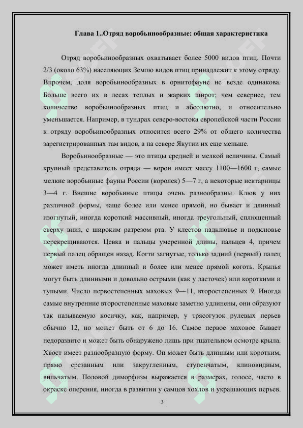 Отряд воробьинообразные: общая характеристика 3