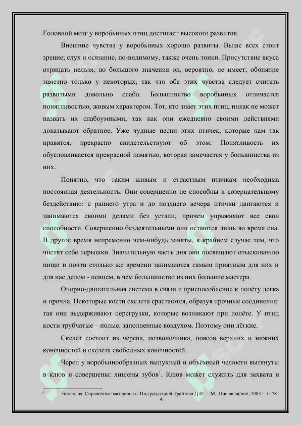 Отряд воробьинообразные: общая характеристика 4