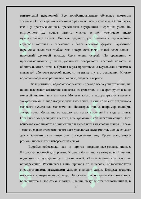 Отряд воробьинообразные: общая характеристика 8