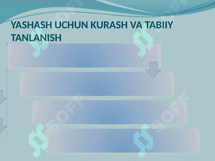 YASHASH UCHUN KURASH VA TABIIY TANLANISH 2 2