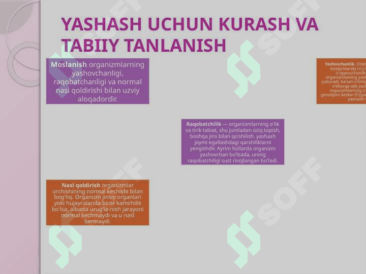 YASHASH UCHUN KURASH VA TABIIY TANLANISH 2