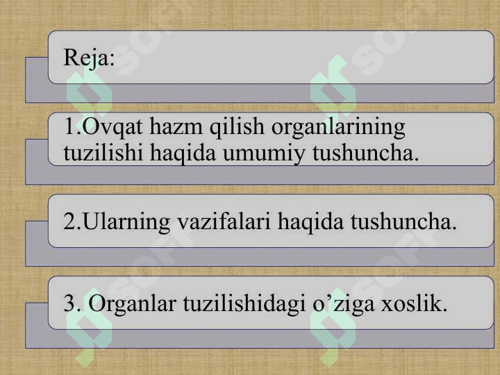 INGICHKA VA YO'G'ON ICHAKDA OVQAT HAZM BO'LISHI2 2