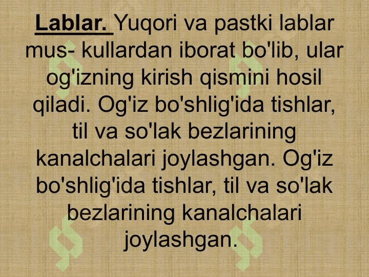 INGICHKA VA YO'G'ON ICHAKDA OVQAT HAZM BO'LISHI2 5
