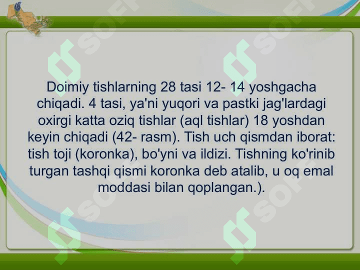 INGICHKA VA YO'G'ON ICHAKDA OVQAT HAZM BO'LISHI2 8