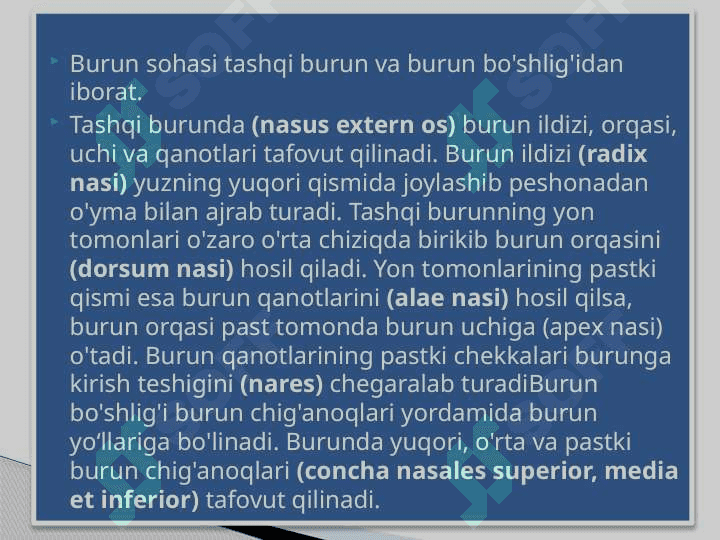 O’pkaning nafasga oid bo’lmagan funksiyalari 4
