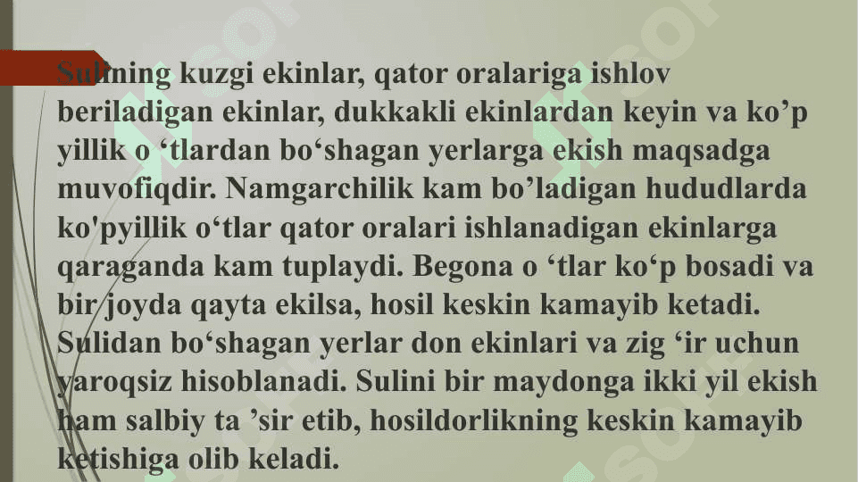 Suli ekinini o`g`itlash. 8