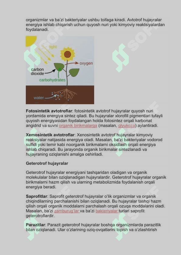 Tirik organizmlarning oziqlanish xillari. 3