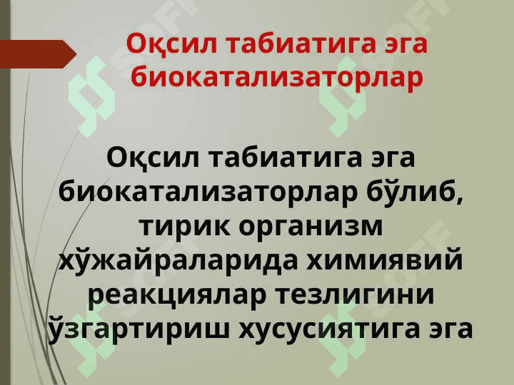 Оқсил табиатига эга биокатализаторлар 2