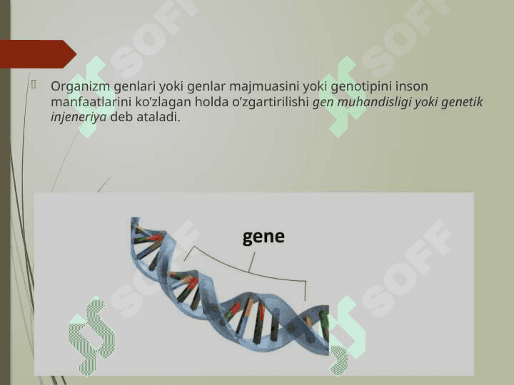 Gen muhandisligi 3