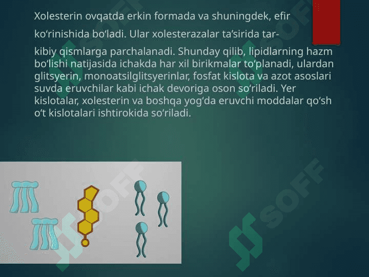 Lipidlarning katabolizmi 6