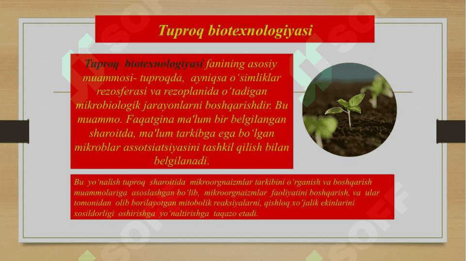 Qishloq xo’jalik biotexnologiyasi 3