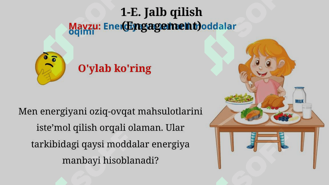Energiya va zaharli moddalar oqimi_5E 3