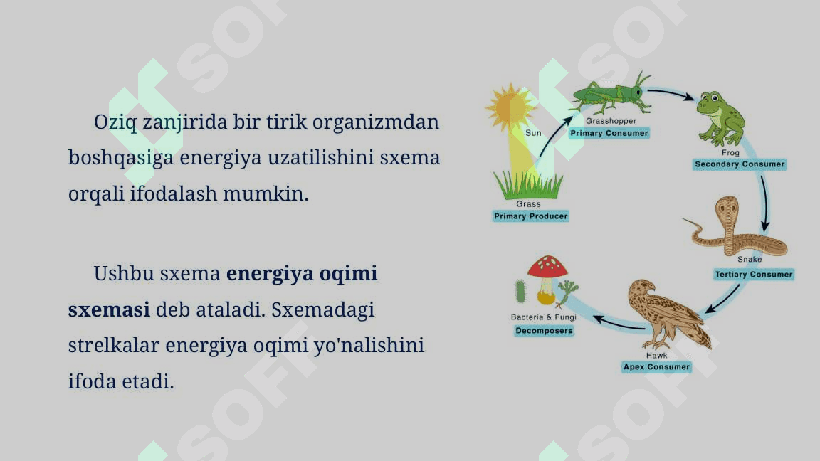 Energiya va zaharli moddalar oqimi_5E 7
