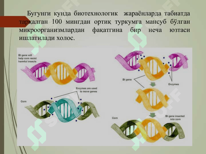 Биотехнологияда ген 4