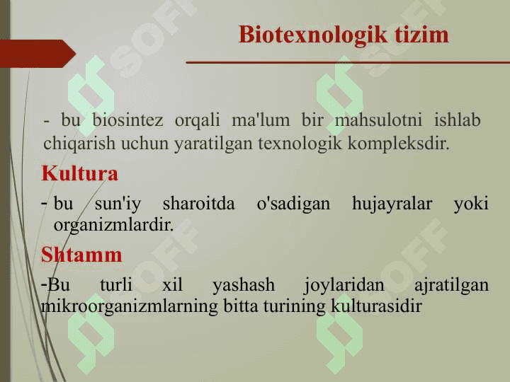 Biotexnologik ob’ektlarni tanlash 3