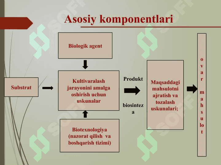 Biotexnologik ob’ektlarni tanlash 5