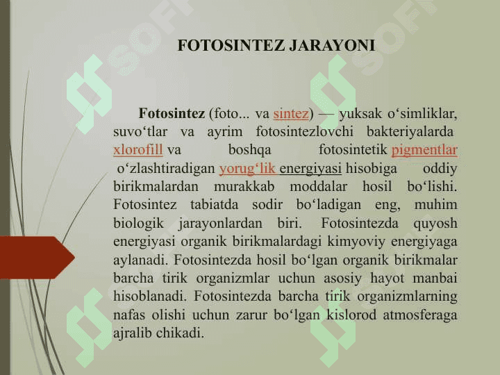 FOTOSINTEZ 3