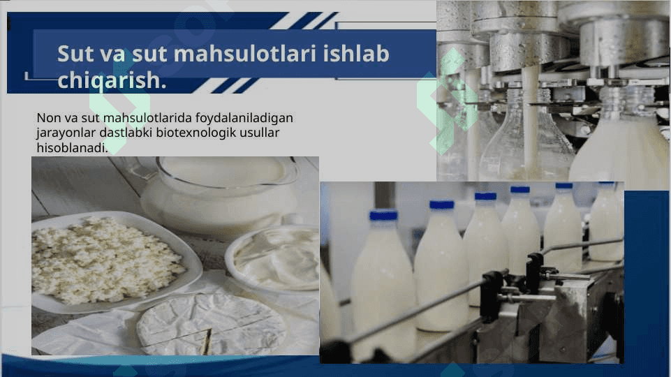 Ishlab chiqarish sanoatida biotexnologiyaning o’rni 3