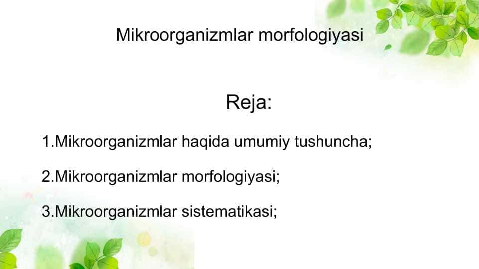 Mikroorganizmlar morfologiyasi