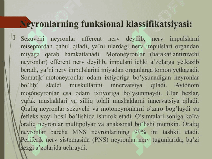NEYRON TURLARI 6