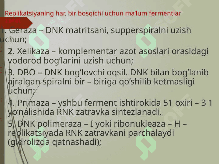 Prokariot va eukariot 3