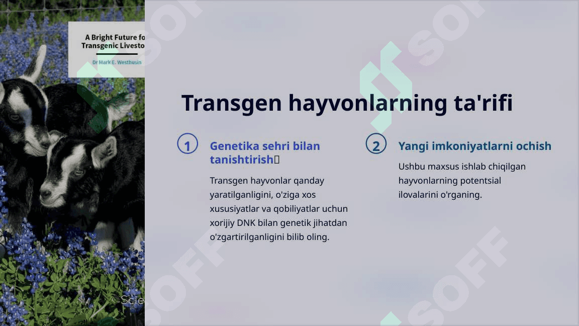 Transgen hayvonlar 2