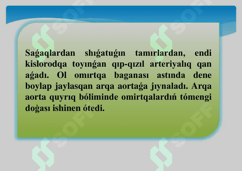 Balıqlardıń qan aylanıw sisteması.pdf 5