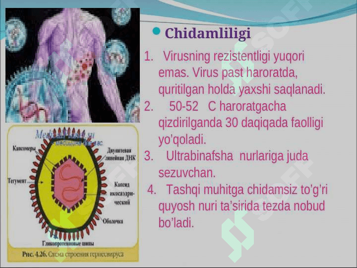 Suvchechak Ko’kyo’tal 4