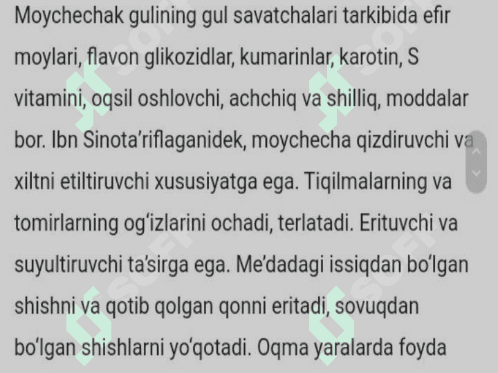 Dorivor moychechak-Chamomilla-Matricaria o'simligining labaratoriya taxlili 6