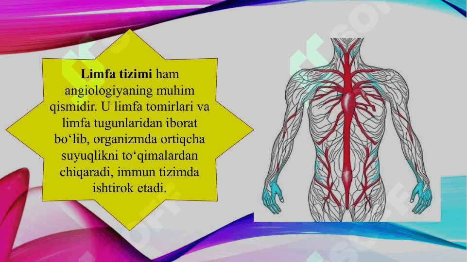 Angiologiya asoslari (TAQDIMOT) 5