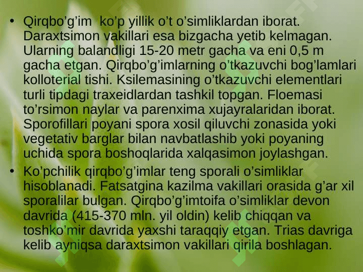 QIRQBO’G’IMTOIFA O’SIMLIKLAR (EQUISETOPHYTA) 5