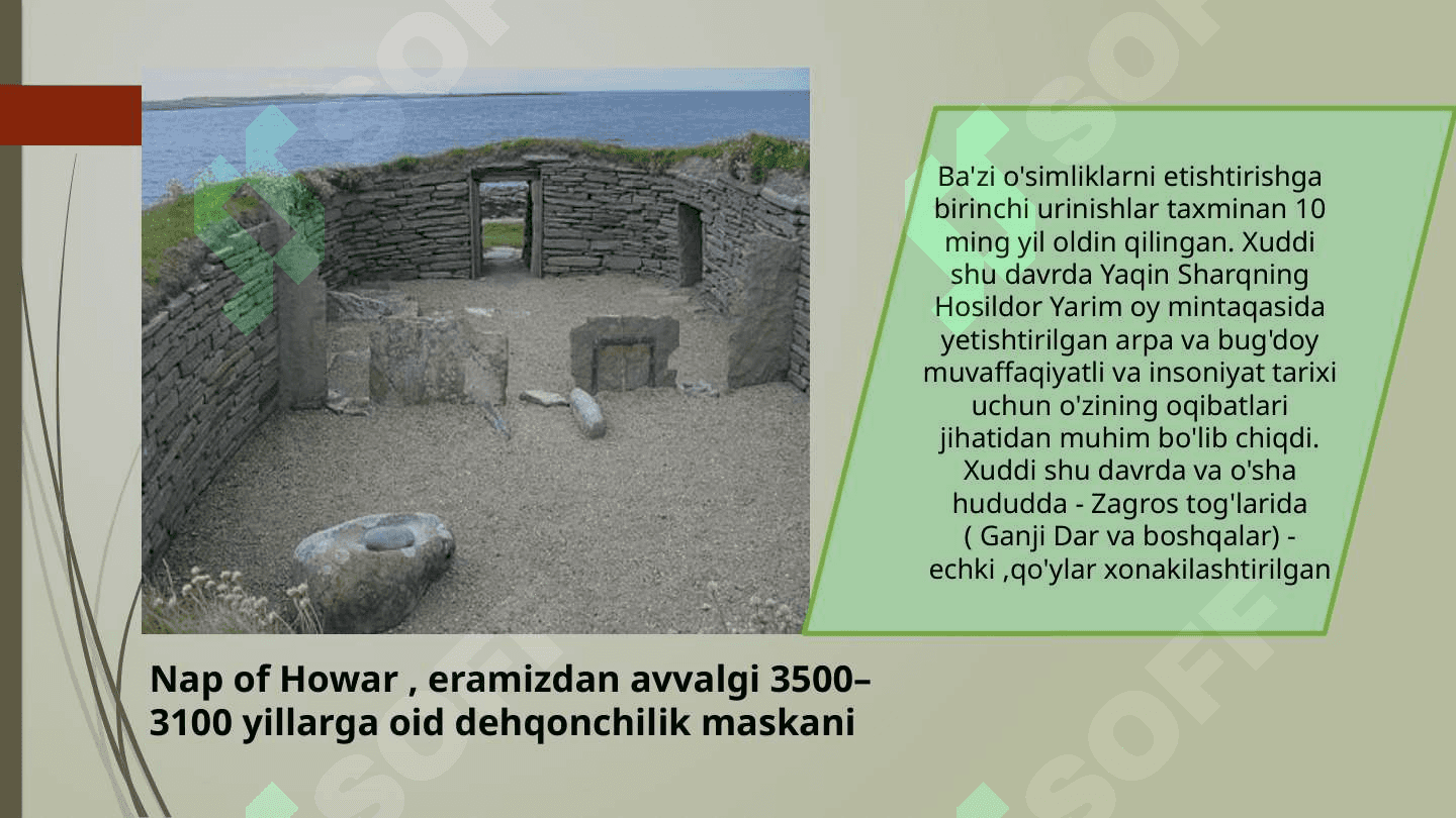 Etnoarxeologiya 6